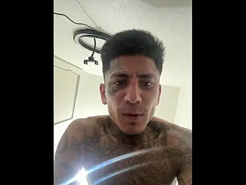 Snapshot of Papinine6 chatting on November 14, 11:20 am Papinine6 online show from November 14, 11:20 am