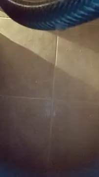 whitetrashdirtyslut online show from December 4, 3:16 am