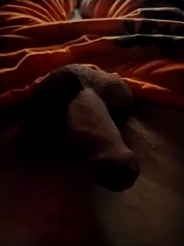 Luiz 097 online show from September 13, 6:46 am