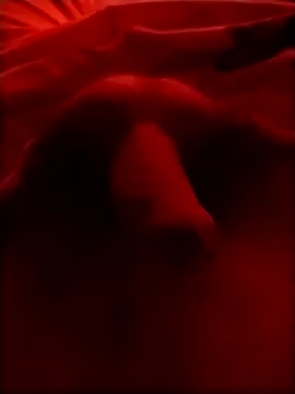 Luiz 097 online show from January 15, 5:56 am