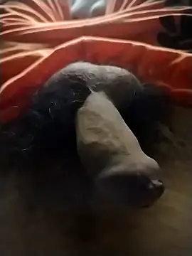 Luiz 097 online show from January 19, 5:22 am