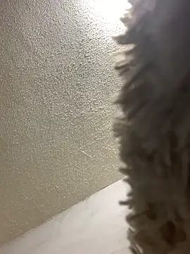 Snapshot of talitasilvx chatting on March 18, 11:09 pm talitasilvx online show from March 18, 11:09 pm