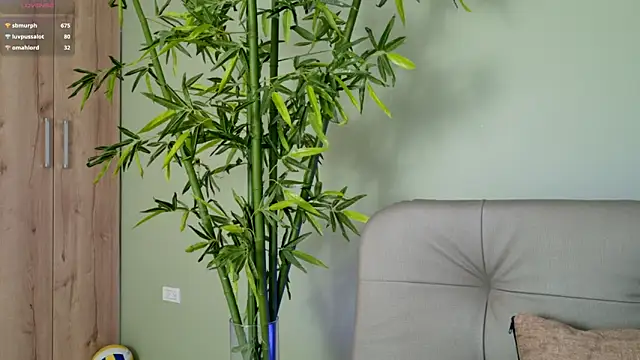 were-Naughty online show from February 27, 11:15 pm