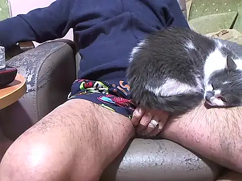 zormen355 online show from April 8, 7:47 pm