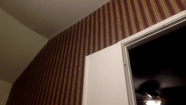 GForceSavage online show from February 11, 5:56 am