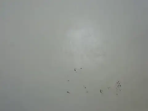 Rasta tattooed online show from February 6, 10:46 pm