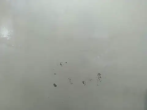 Rasta tattooed online show from March 19, 6:17 am