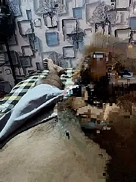 PlayBoy0299 online show from January 9, 2:53 pm