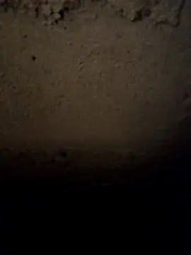 Snapshot of camila_picante chatting on March 31, 3:56 pm camila picante online show from March 31, 3:56 pm