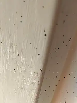 Snapshot of camila_picante chatting on April 4, 2:47 pm camila picante online show from April 4, 2:47 pm