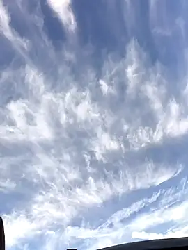 FloppyPickle4u online show from January 19, 4:11 pm