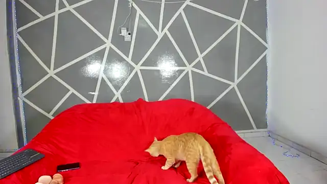 Snapshot of oliverhot2005 chatting on December 7, 10:39 pm oliverhot2005 online show from December 7, 10:39 pm