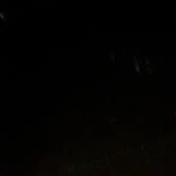 Gifttheskimaskboy online show from February 12, 1:22 am