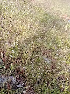 sexoooj online show from October 22, 10:37 am