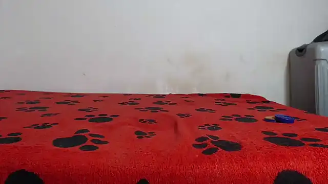 Snapshot of Amazing12inch chatting on February 12, 7:55 am Amazing12inch online show from February 12, 7:55 am