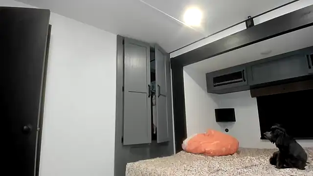 Snapshot of Persiasparadise chatting on February 16, 1:46 am Persiasparadise online show from February 16, 1:46 am