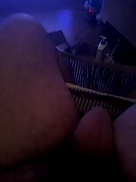 deleware806 online show from November 8, 8:25 am