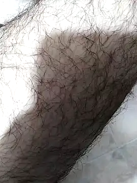 andrew co online show from November 10, 11:48 pm