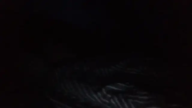 Snapshot of SHARPSkinhead chatting on August 2, 2:10 am SHARPSkinhead online show from August 2, 2:10 am