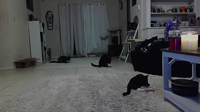 CrystalLakeXO online show from October 19, 7:42 am