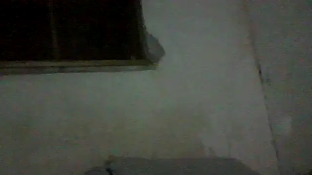 PAUBRASILEIRORJ online show from July 17, 1:56 am