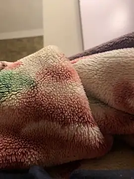 Snapshot of Gengista88 chatting on February 15, 1:24 am Gengista88 online show from February 15, 1:24 am