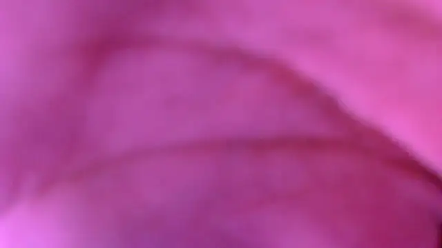 xxxxxchiaratsxxxxx online show from March 8, 2:04 am