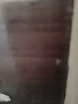 hardgetsex online show from September 29, 9:08 pm