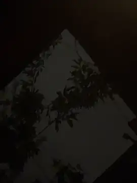 holyeroticss online show from September 25, 1:31 am