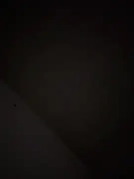 casadoscuriosos97 online show from March 11, 5:02 am