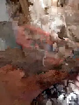 Din0071 online show from December 22, 3:31 pm