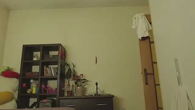 Niter online show from January 15, 1:56 am