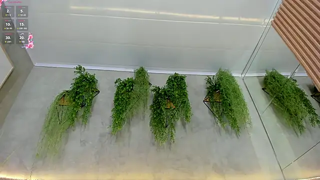 Lana Lann online show from March 15, 3:06 pm