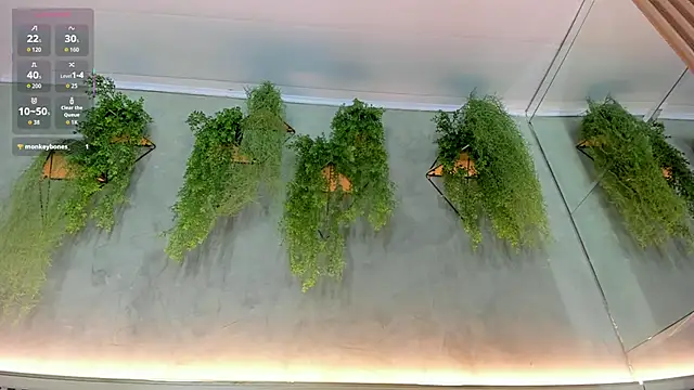 Lana Lann online show from September 22, 11:56 am