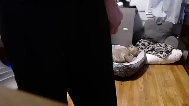 flexingplexico online show from February 16, 10:50 pm