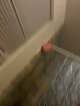 prettlovely14 online show from February 20, 4:42 am