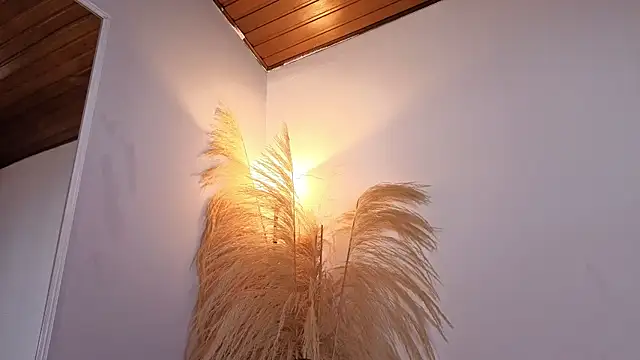Elecktra sweet online show from June 10, 7:24 pm