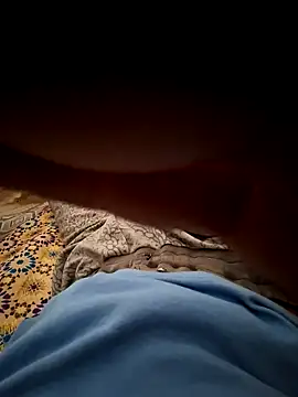 mehdi haway online show from October 31, 3:02 pm