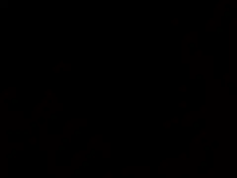 thatdude9 9 9 online show from March 31, 10:48 am