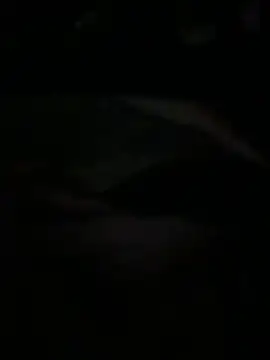 Ariel Ari online show from February 1, 3:05 am