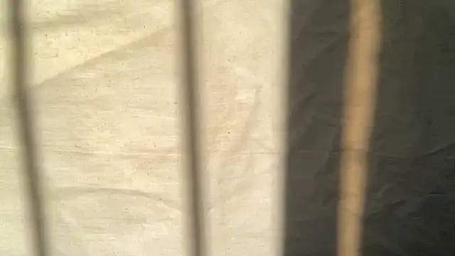 beforeyou69 online show from November 6, 8:04 am