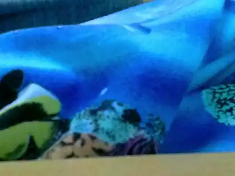 Snapshot of zhan7965 chatting on December 30, 1:03 pm zhan7965 online show from December 30, 1:03 pm