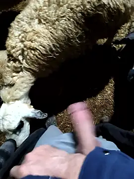 murokkk31 online show from January 9, 11:28 pm