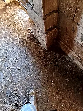 murokkk31 online show from January 14, 7:14 am