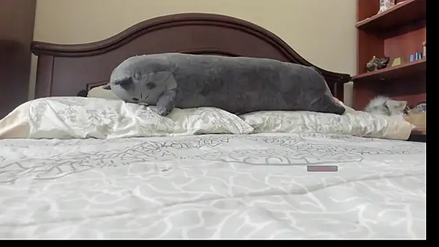 Snapshot of linnie_ chatting on February 2, 2:32 am linnie online show from February 2, 2:32 am