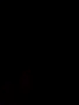 Snapshot of Alanagracia chatting on February 14, 11:31 am Alanagracia online show from February 14, 11:31 am