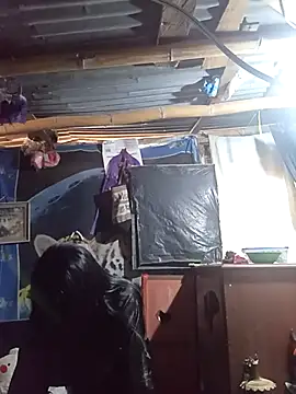 Snapshot of Alanagracia chatting on October 10, 2:16 pm Alanagracia online show from October 10, 2:16 pm