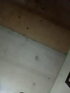 Alonsomadeira online show from April 10, 9:25 am