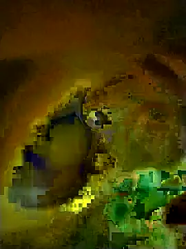 Rasdick online show from March 4, 2:17 am