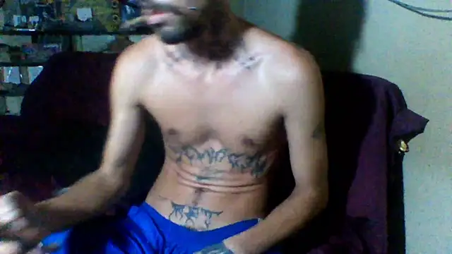 sellvageria online show from January 15, 12:04 am